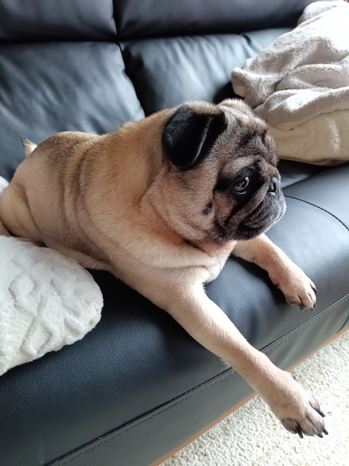 何をどうしたらいいか