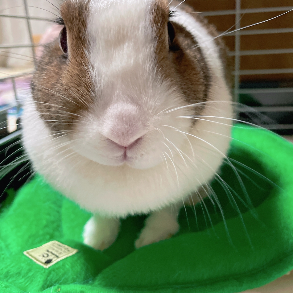 CLUB BOSS日記1532498