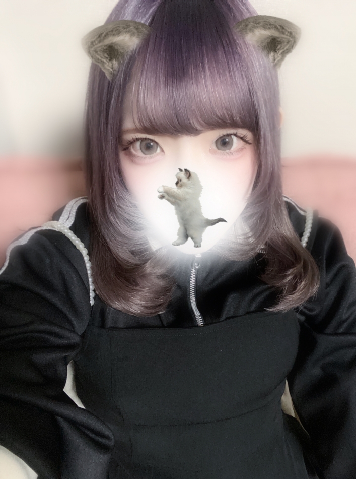 猫とアレルギー