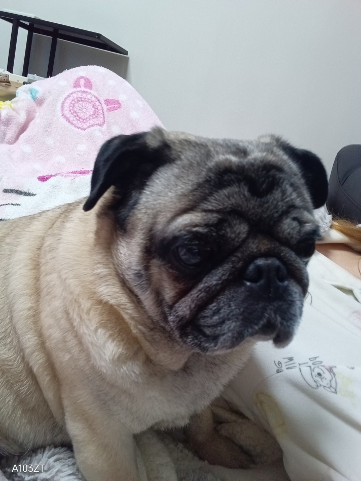 滅多にない失敗