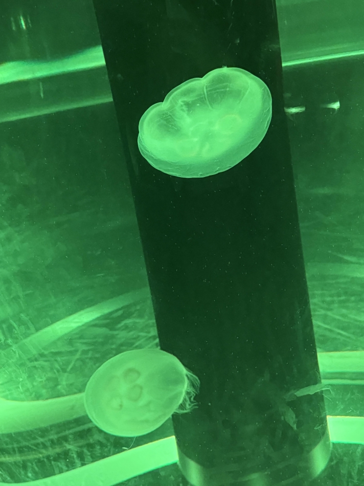 クラブ プラチナ 長野日記1443238