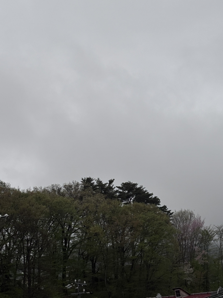 クラブ プラチナ 諏訪日記1646471