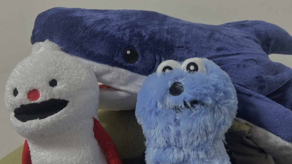 近状報告とお知らせ