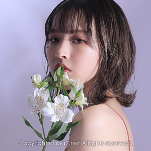 鈴鐘 ホットニュース 3380