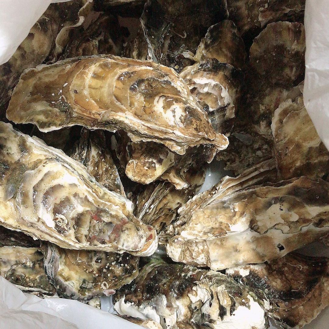 SEASIDE IKEBUKURO ホットニュース 3683