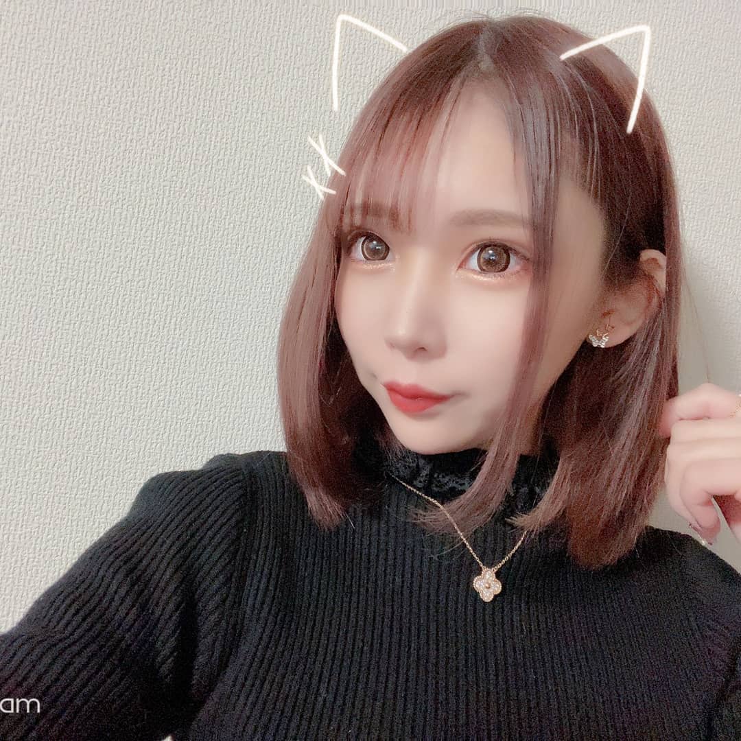 bisser ホットニュース 4270