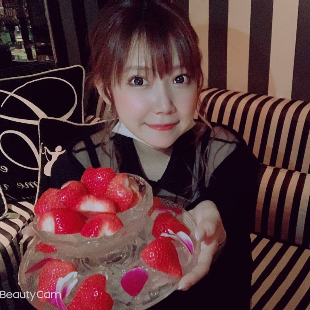 bisser ホットニュース 4531