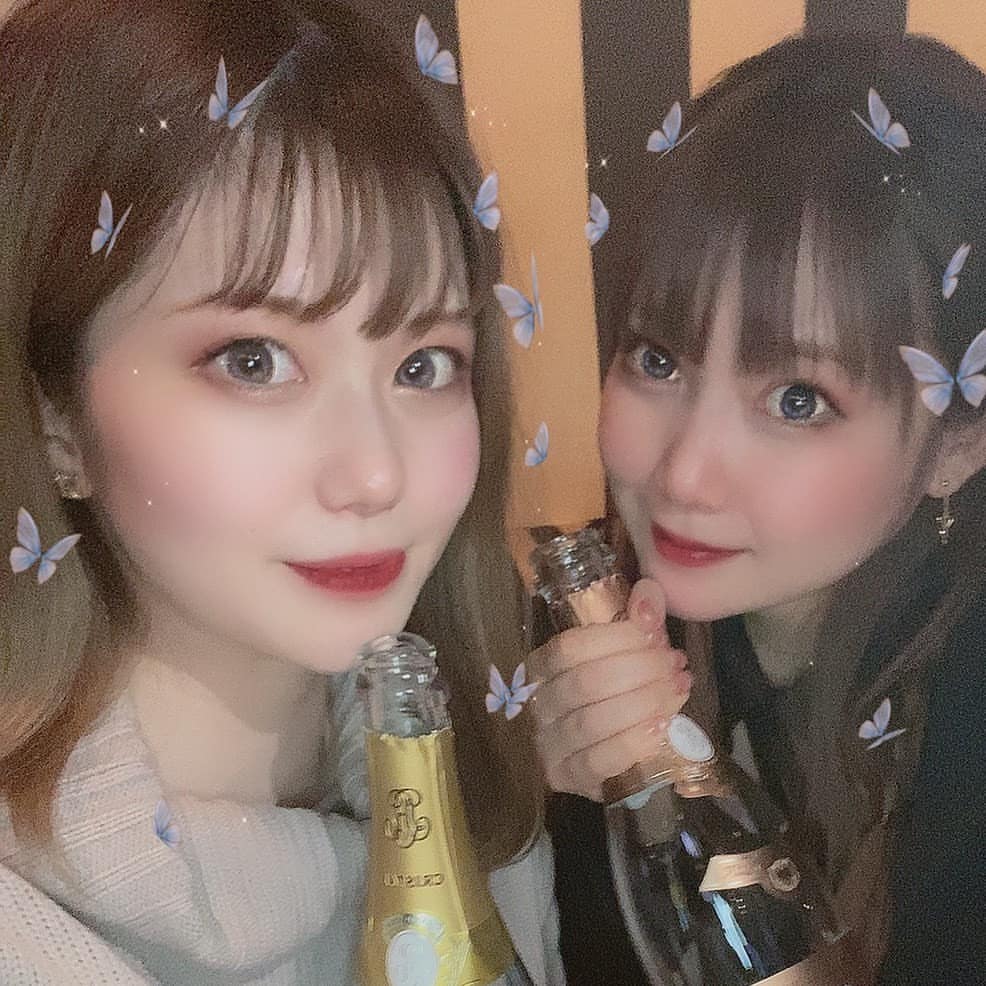 bisser ホットニュース 4677