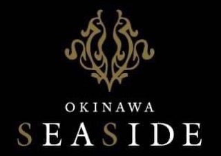 沖縄 SEASIDE ホットニュース 6556