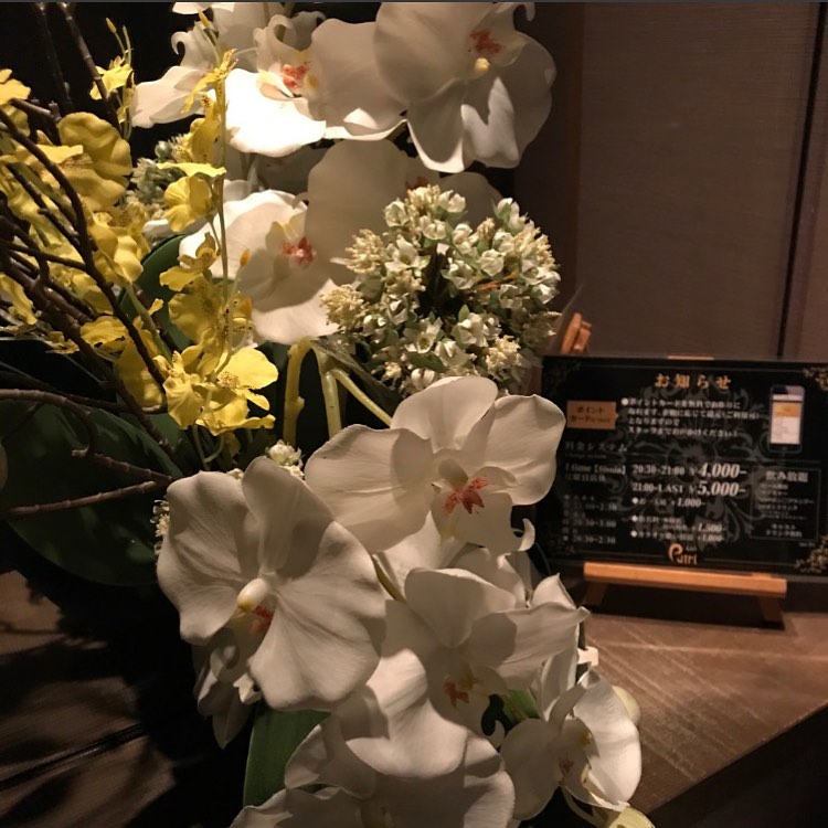 Club Putri ホットニュース 6661