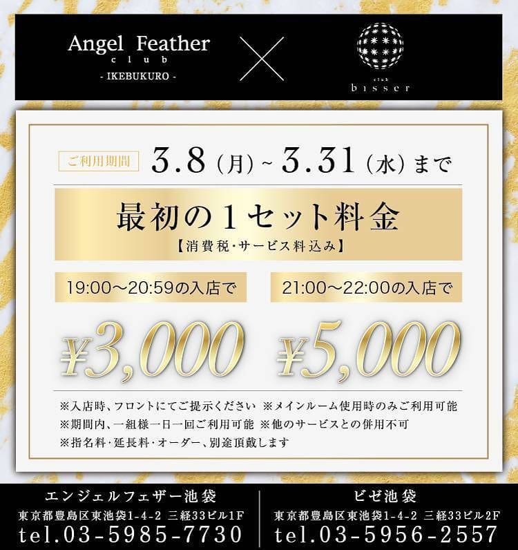 bisser ホットニュース 7208