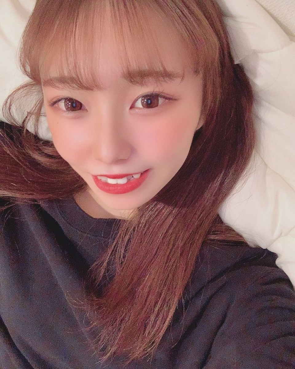 Orange Terrace ホットニュース 8052