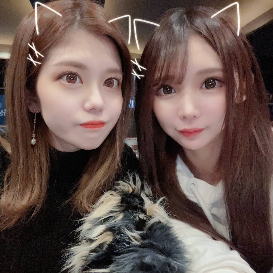 bisser ホットニュース 8134