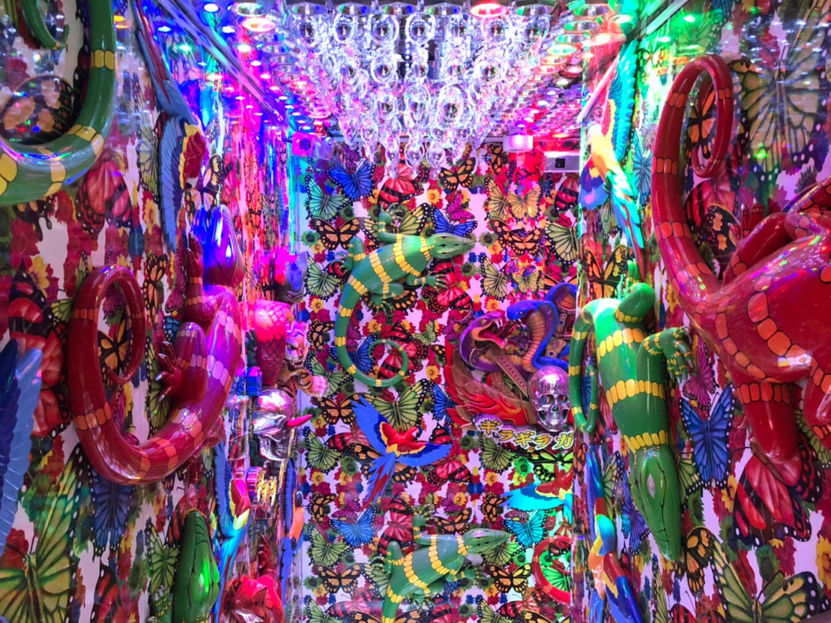 ギラギラガールズ ホットニュース 8806