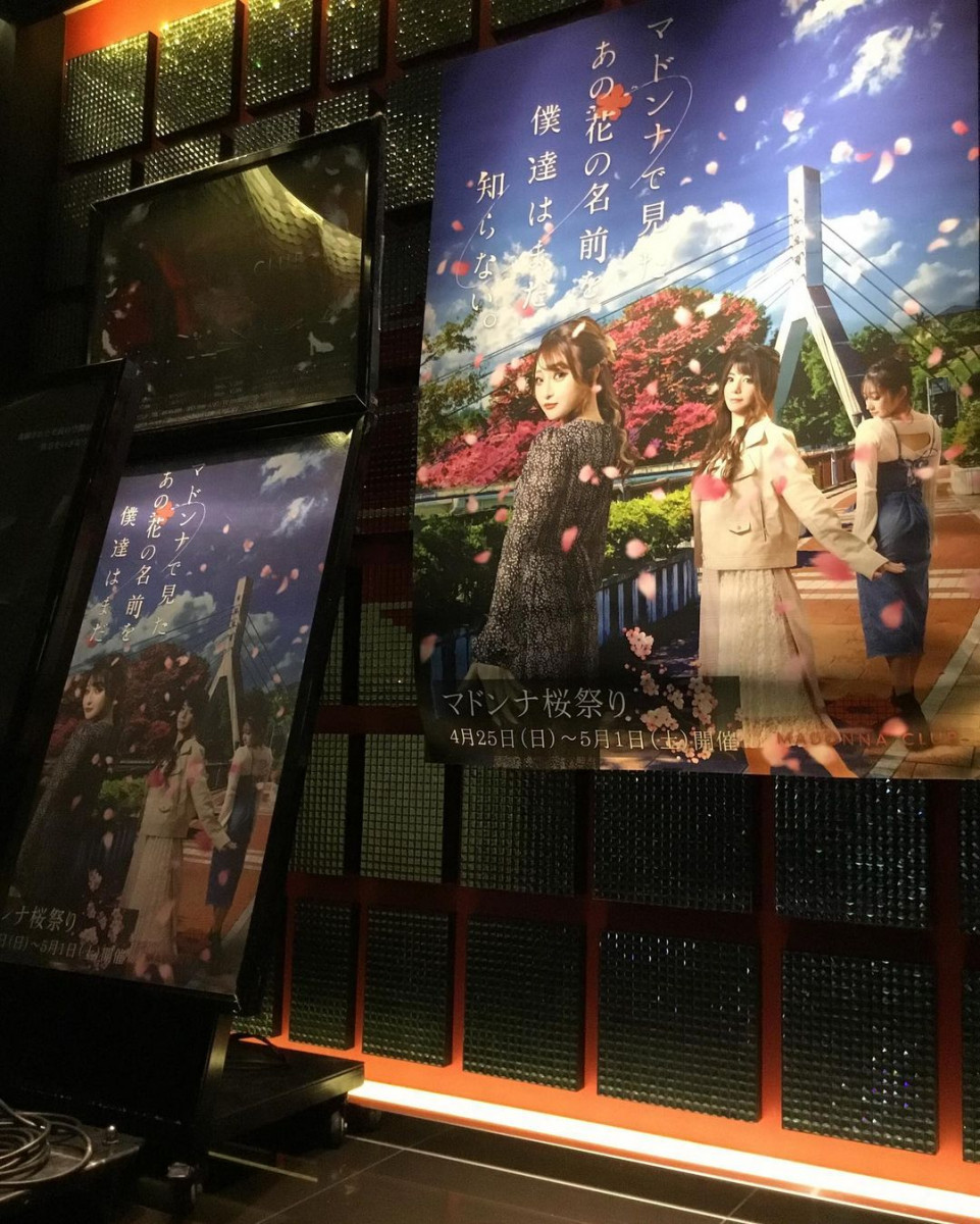 MADONNA CLUB ホットニュース 8895