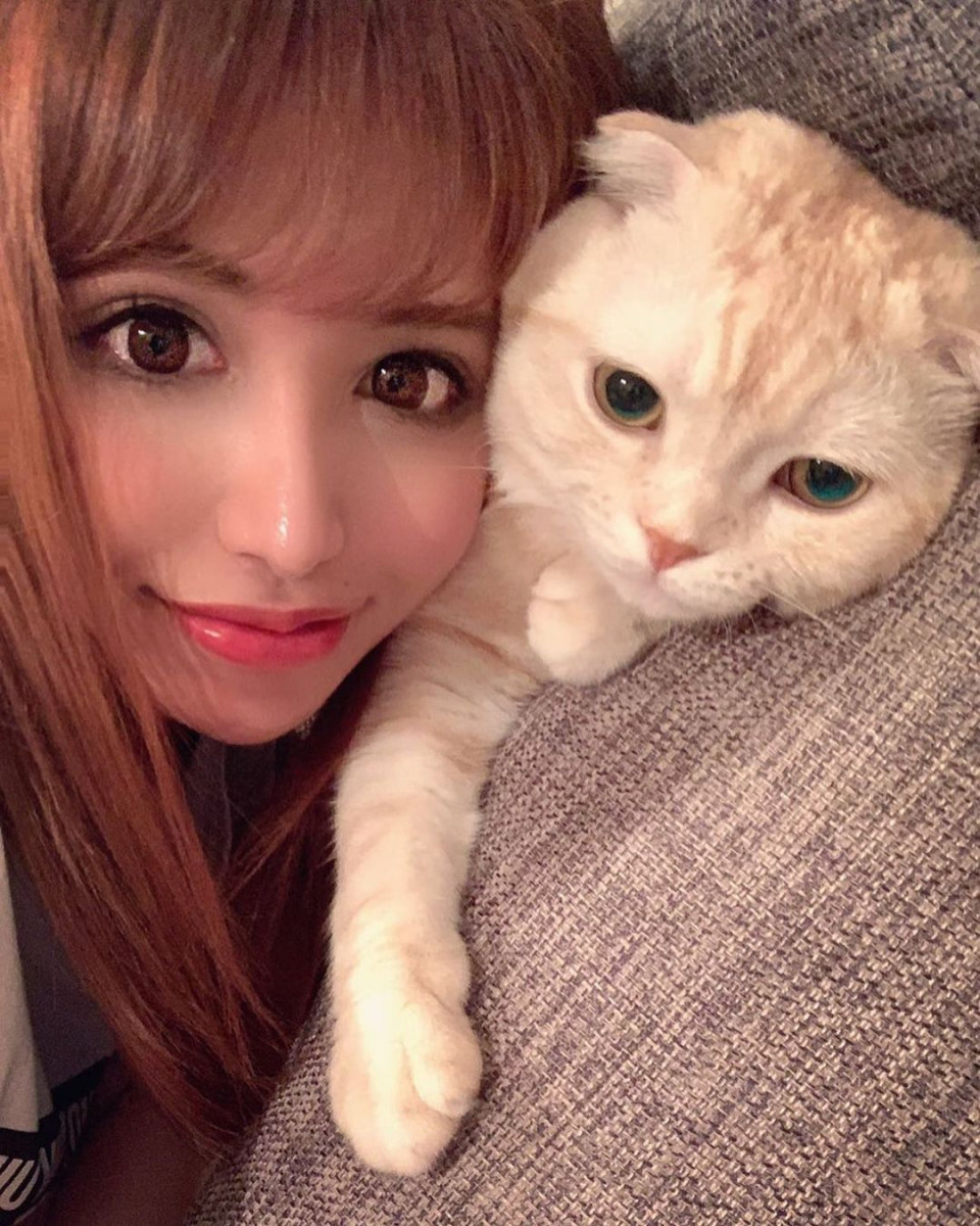 AMATERAS ホットニュース 8940