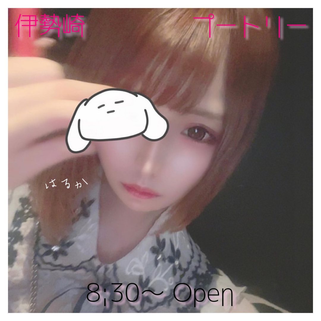 Club Putri ホットニュース 9114