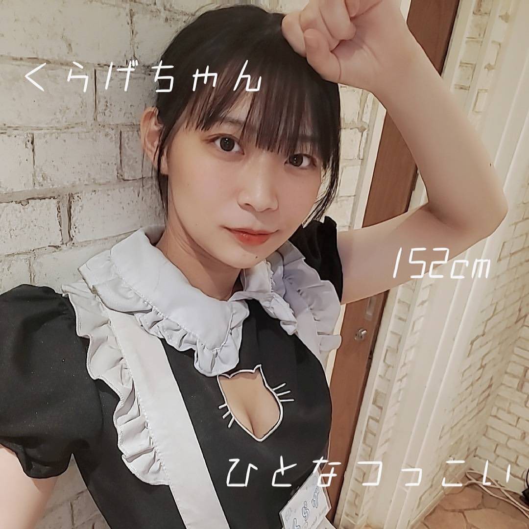 cafe&bar Mermaid ホットニュース 9177