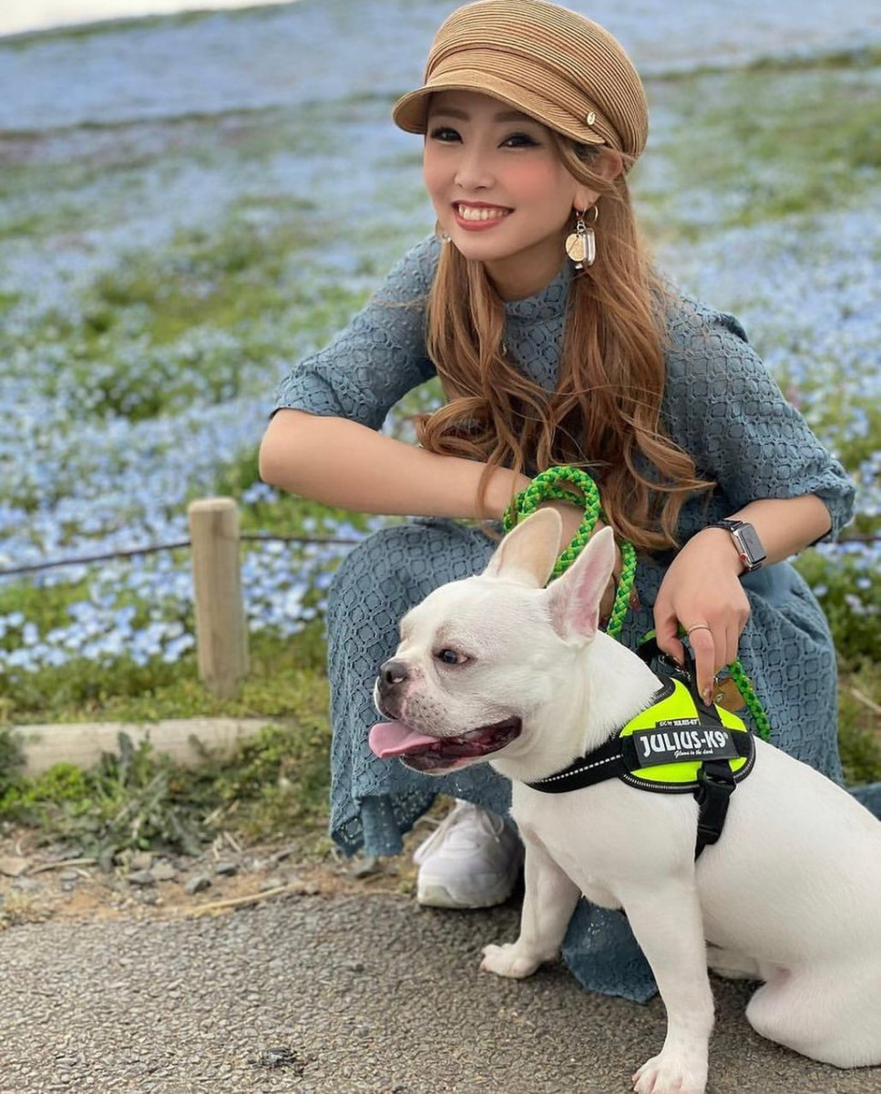 美人茶屋 ホットニュース 9234