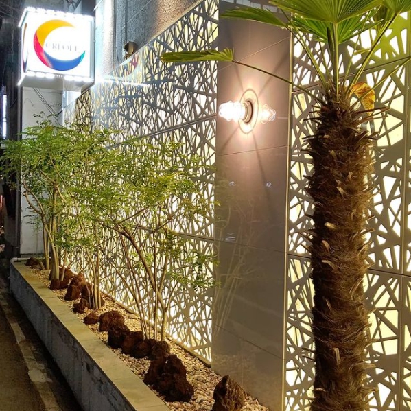 CREOLE ホットニュース 9556