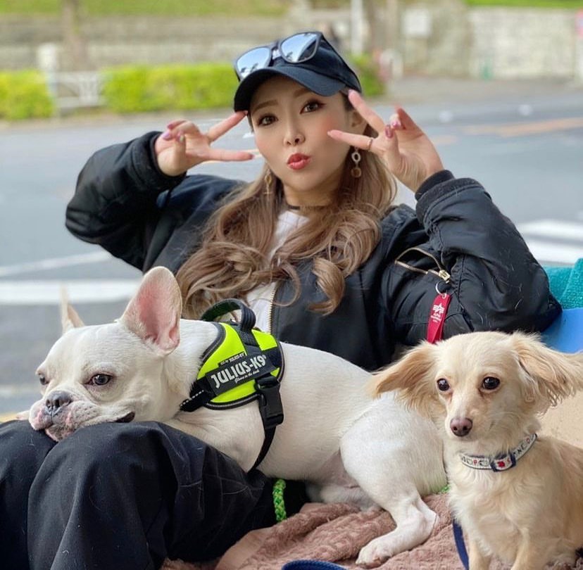 美人茶屋 ホットニュース 11096