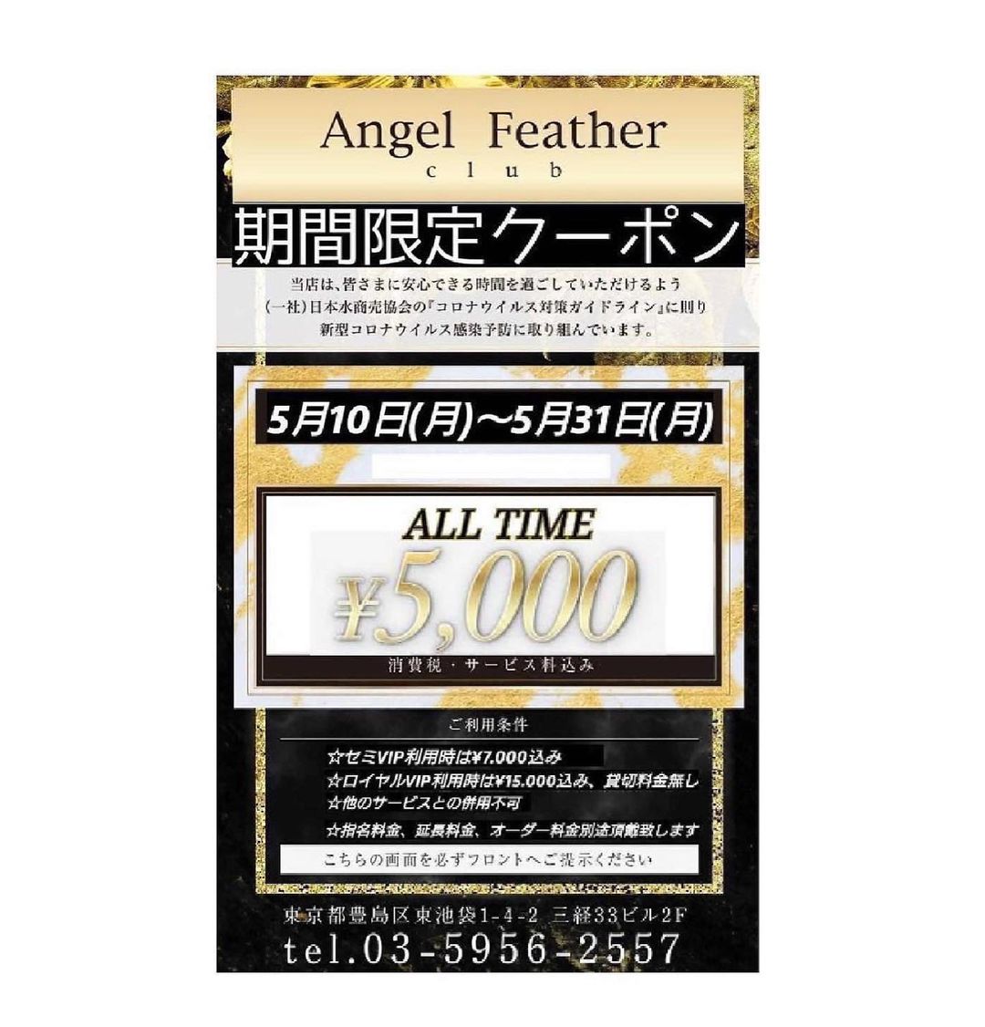 Angel Feather ホットニュース 11292