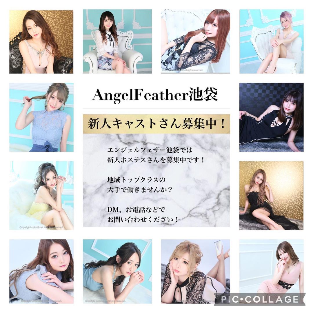 Angel Feather ホットニュース 11357