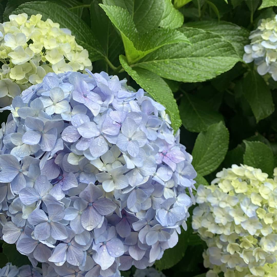 Kyara ホットニュース 11754