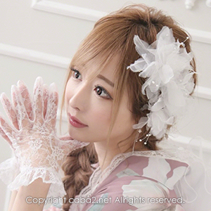 美人茶屋 ホットニュース 11784