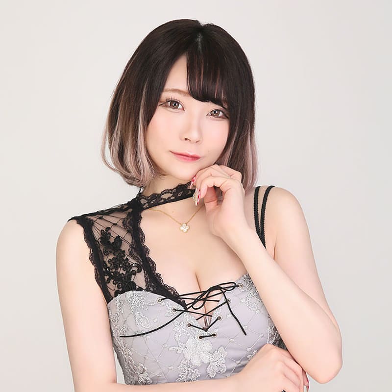 bisser ホットニュース 12555