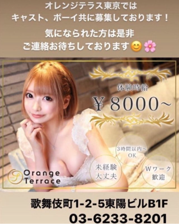 Orange Terrace ホットニュース 13128
