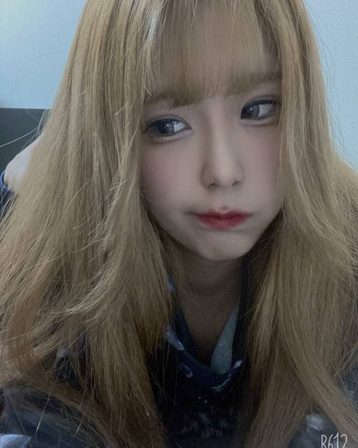 Diletto ホットニュース 13398