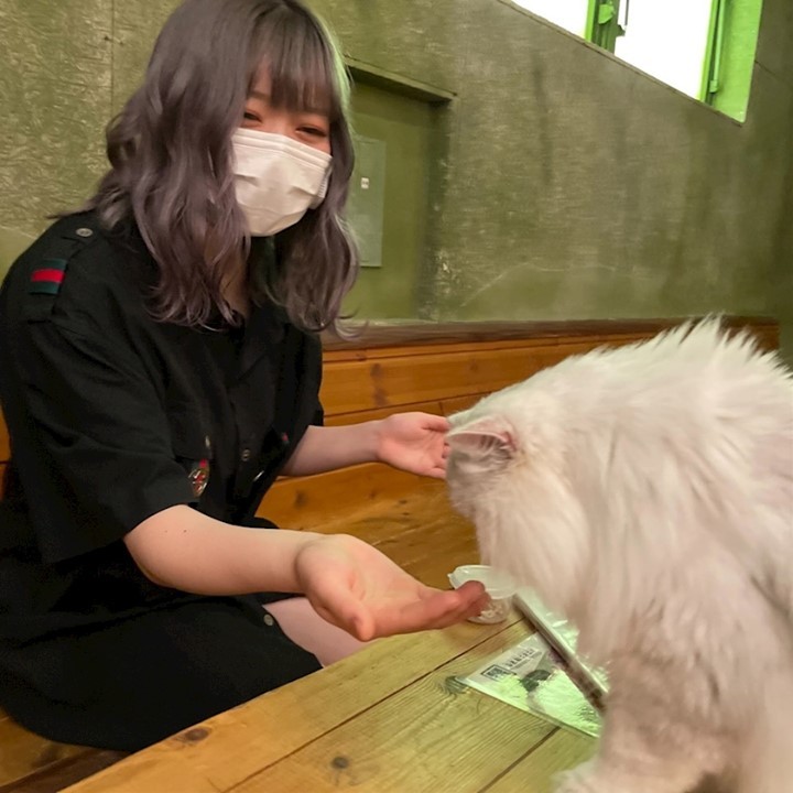 Concept Girls Bar Resort 2nd ホットニュース 14107