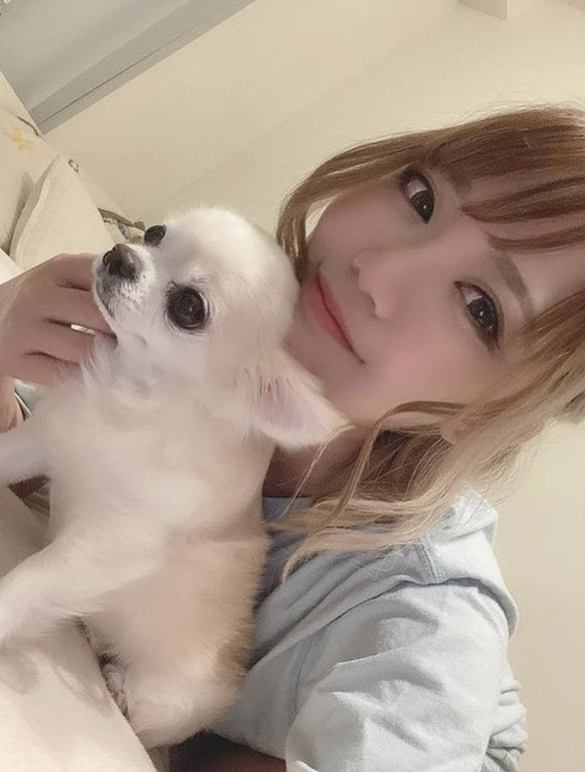 Orange Terrace ホットニュース 14672