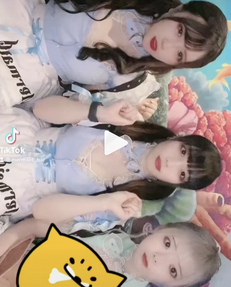 cafe&bar Mermaid ホットニュース 14863