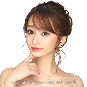 美人茶屋 ホットニュース 15383