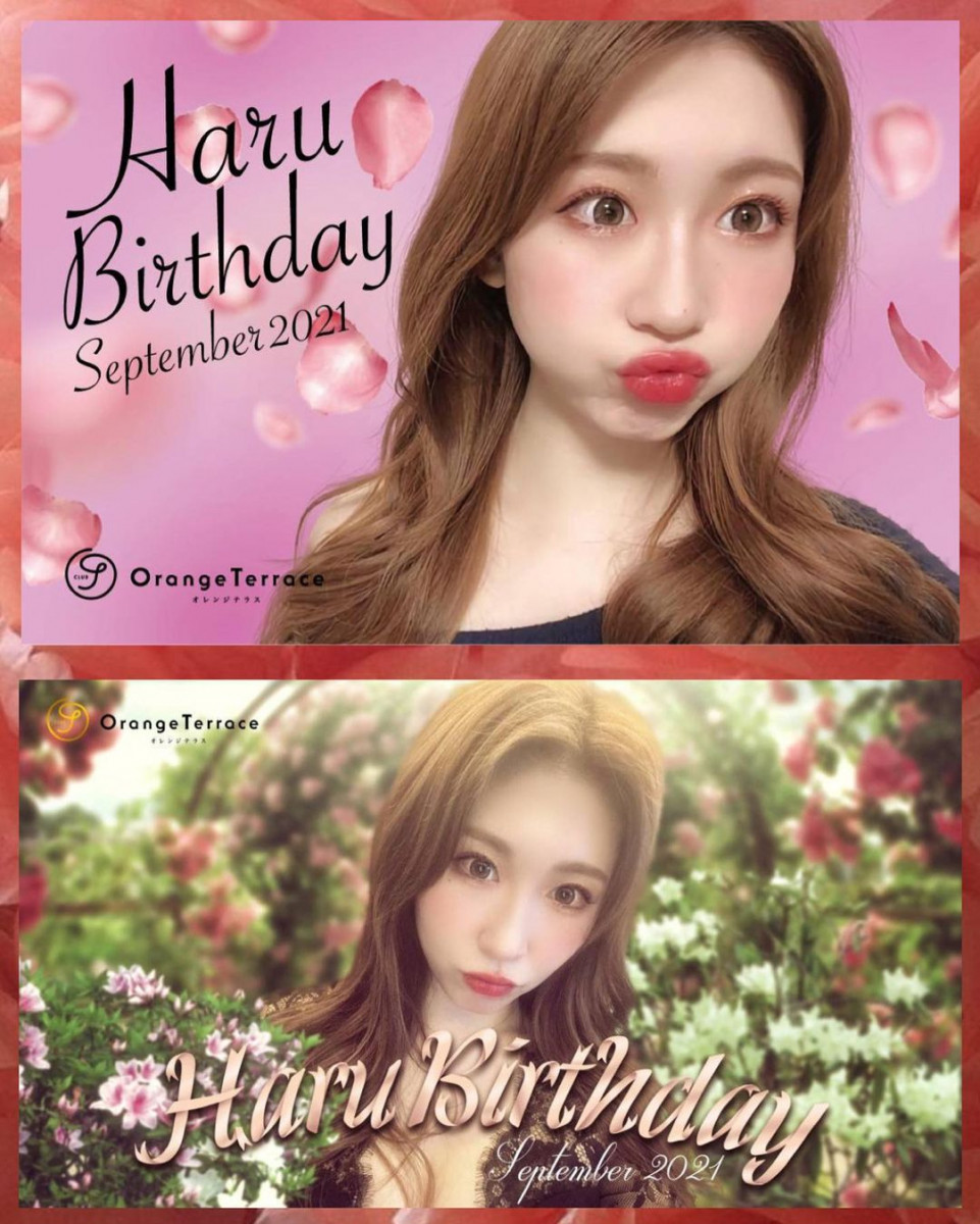 Orange Terrace ホットニュース 15453