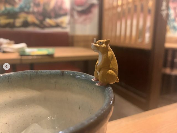 Kyara ホットニュース 15677