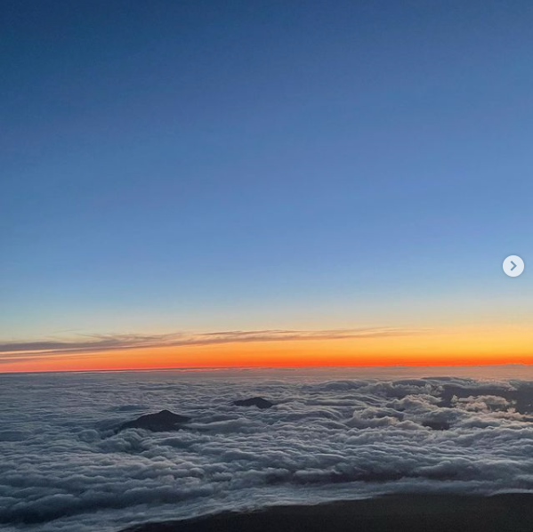 Reign ホットニュース 15926