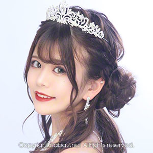 ARC ホットニュース 16497