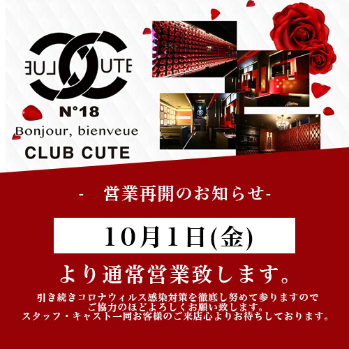 CUTE ホットニュース 16580