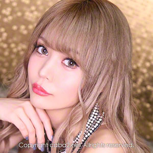 華灯 ホットニュース 16584