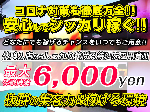 Farao ホットニュース 16599