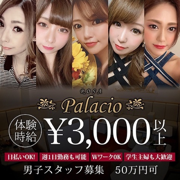 Rosa Palacio ホットニュース 16844