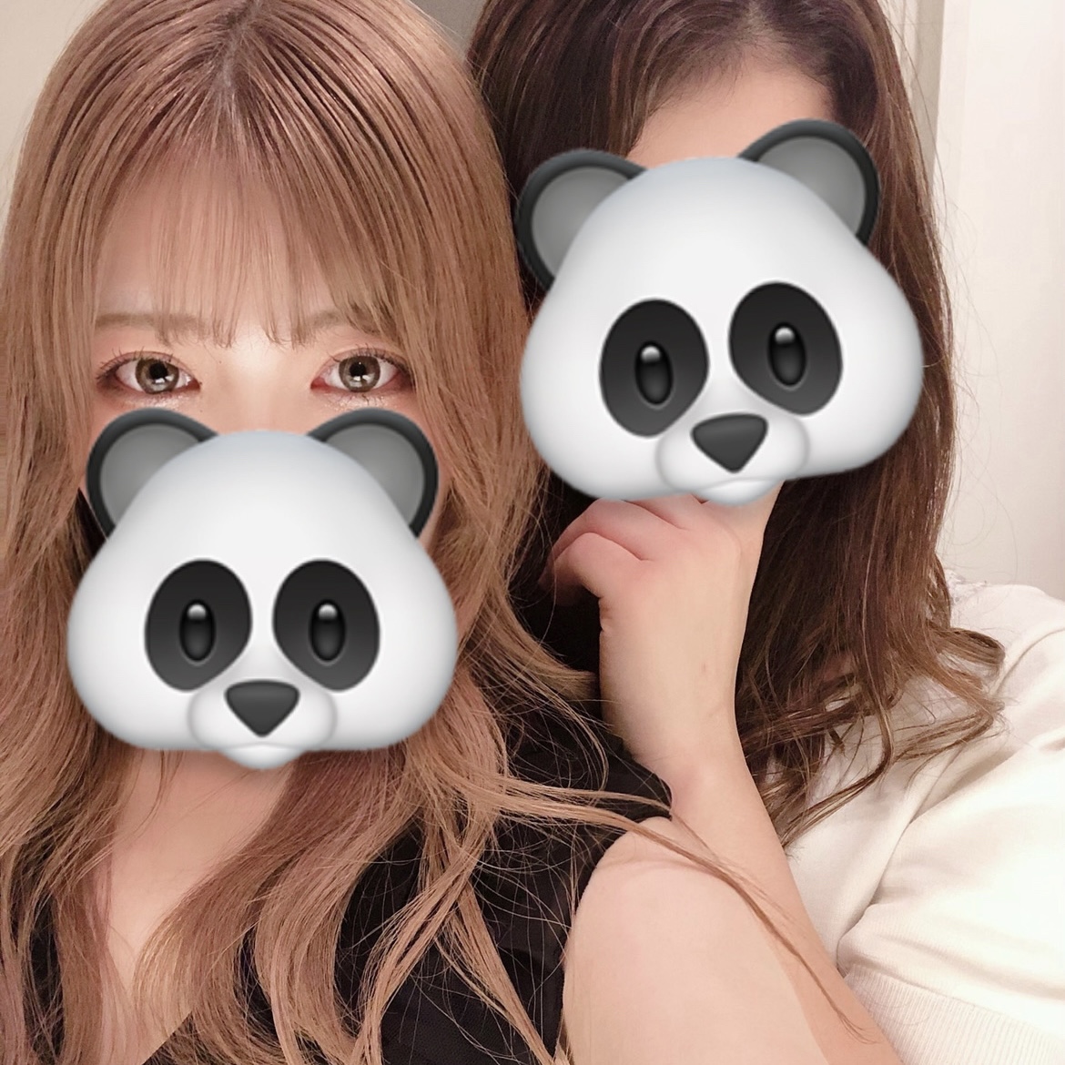 Vivienne ホットニュース 19142