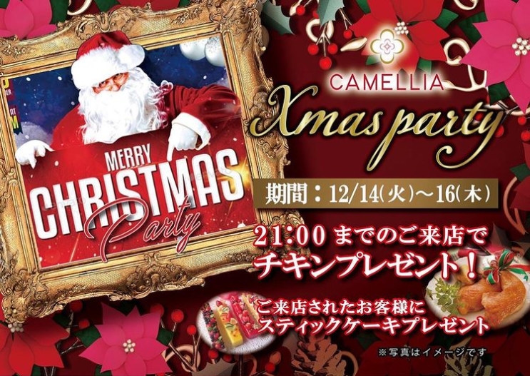 CAMELLIA ホットニュース 19227