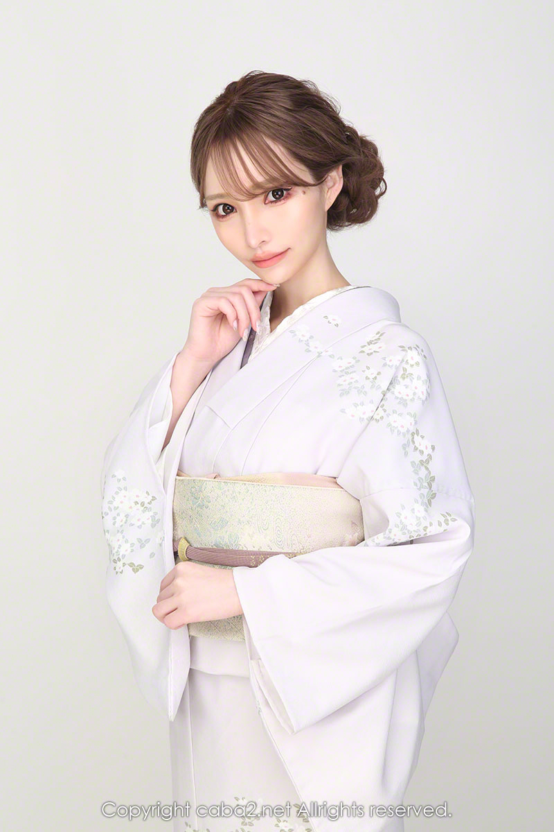 美人茶屋 ホットニュース 20241