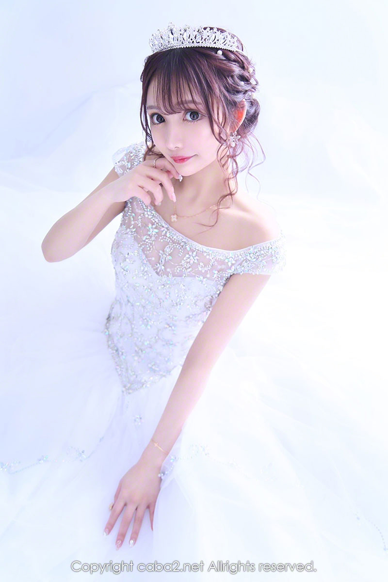 bisser ホットニュース 21477