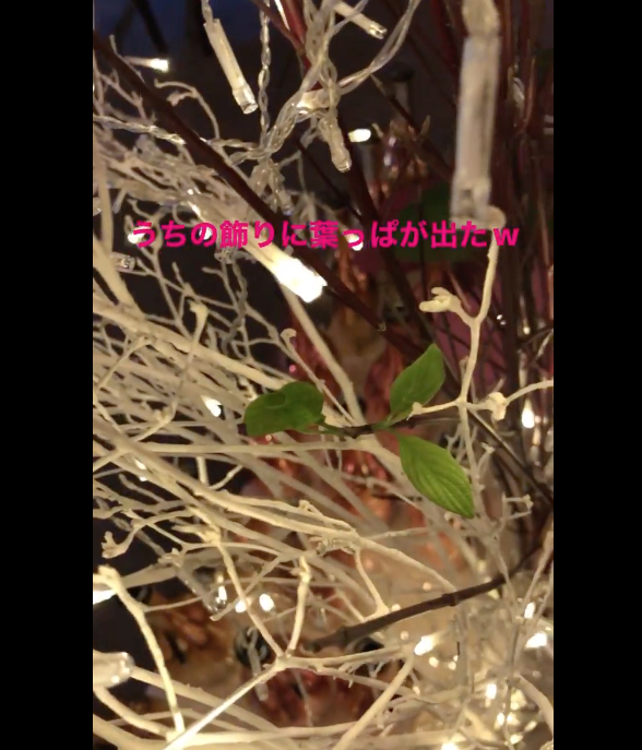 GALSBAR&LOUNGE GALSBAR ホットニュース 21490