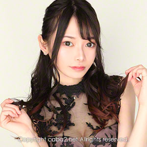 bisser ホットニュース 21515